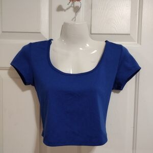 Ambiance Blue Cropped Top With Silver Zipper Back detail Small